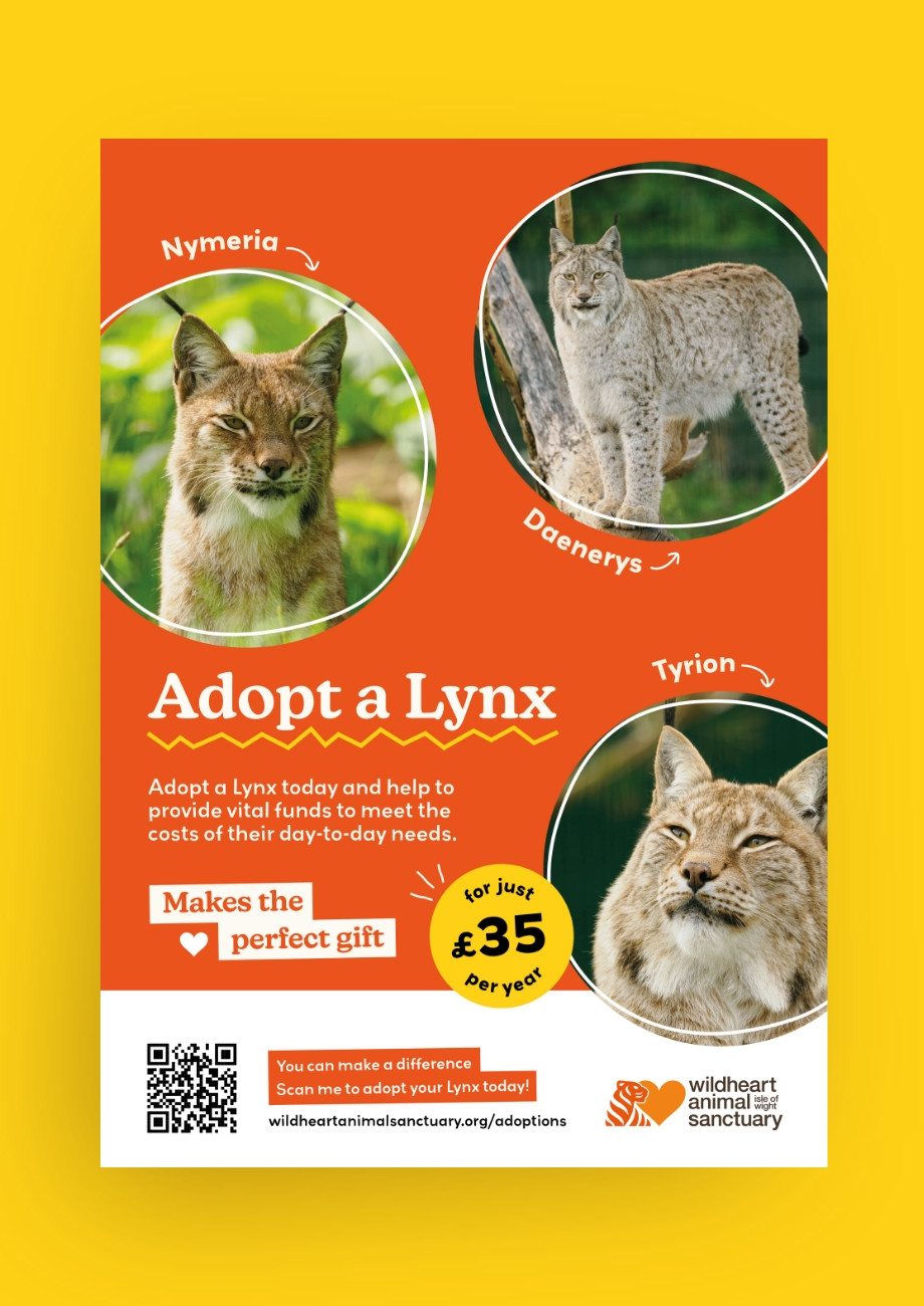 Wildheart Animal Sanctuary zoo Lynx design by Root Studio
