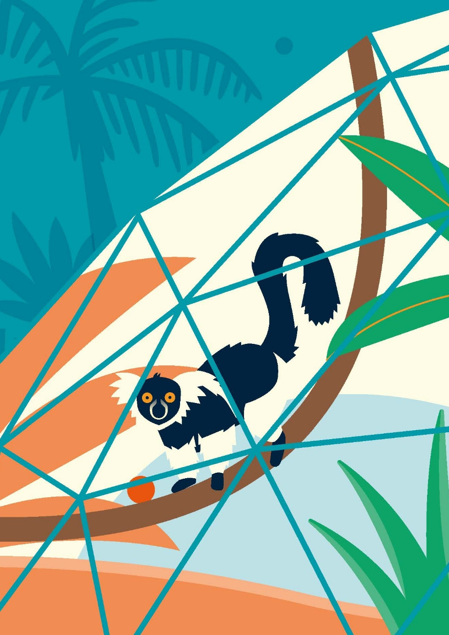 Wildheart Animal Sanctuary zoo bamboo dome monkey illustration by Root Studio