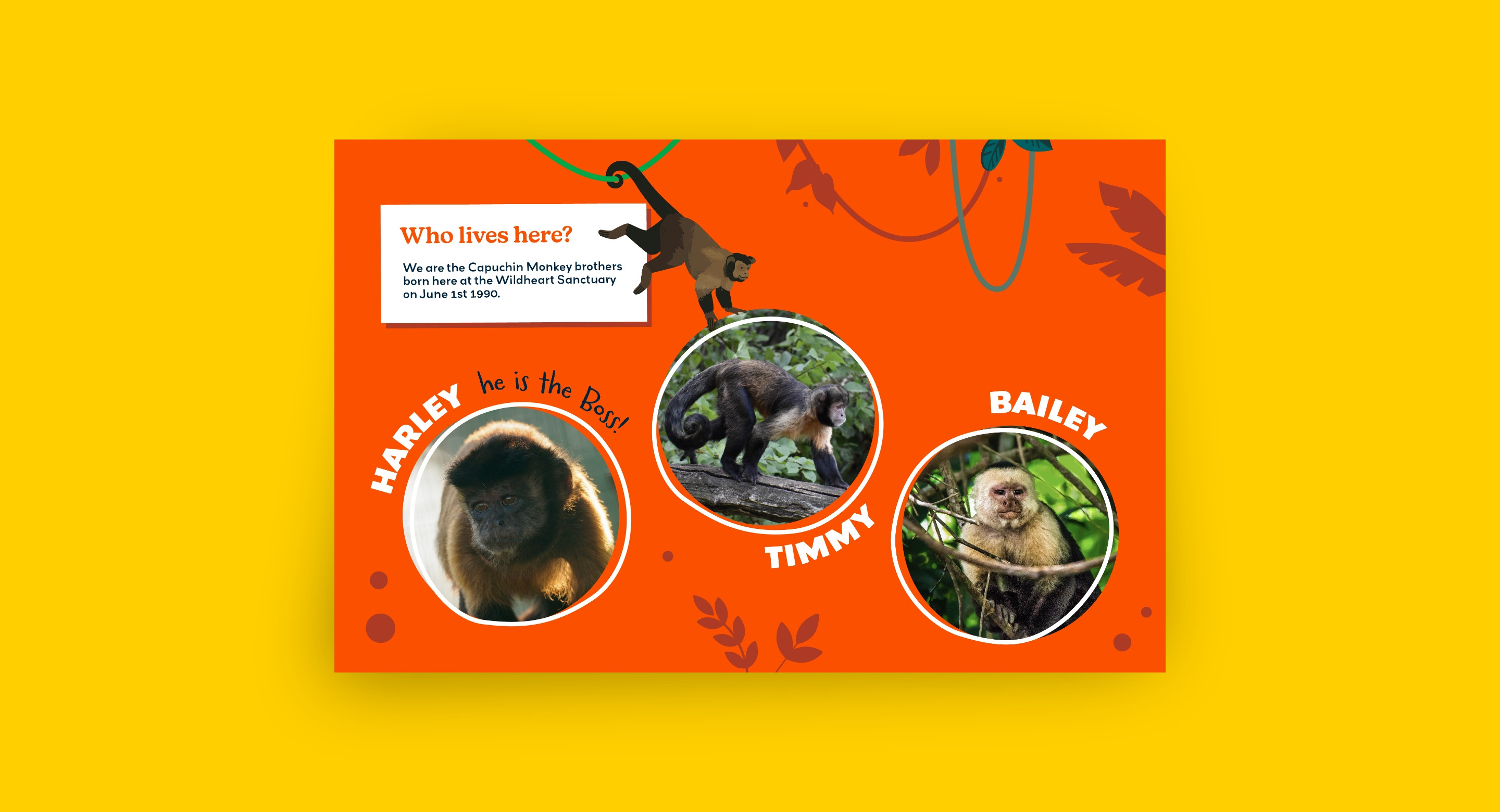 Wildheart Animal Sanctuary zoo monkey sign design by Root Studio