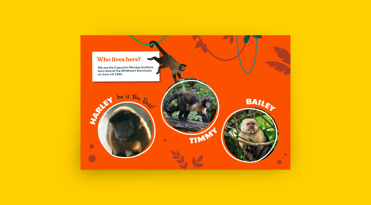 Wildheart Animal Sanctuary zoo monkey sign design by Root Studio