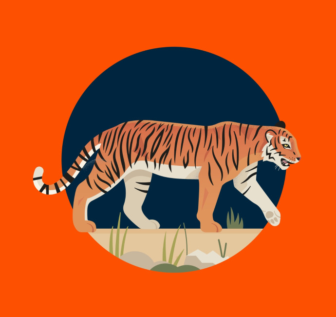 Illustrated tiger