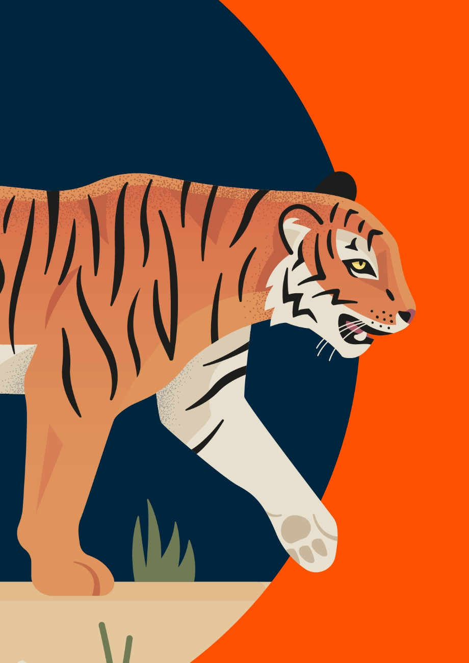 Wildheart Animal Sanctuary zoo tiger illustration by Root Studio