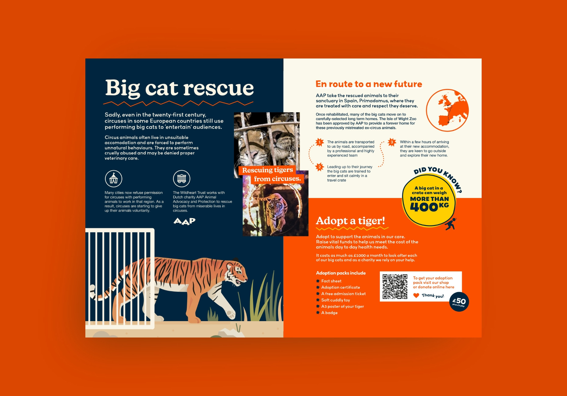 Wildheart Animal Sanctuary zoo tiger interpretation design by Root Studio