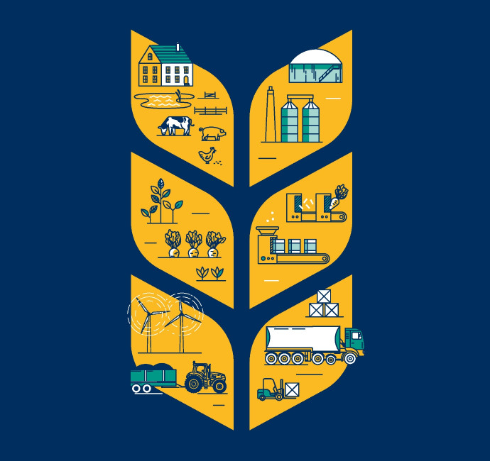 Agricultural infographic