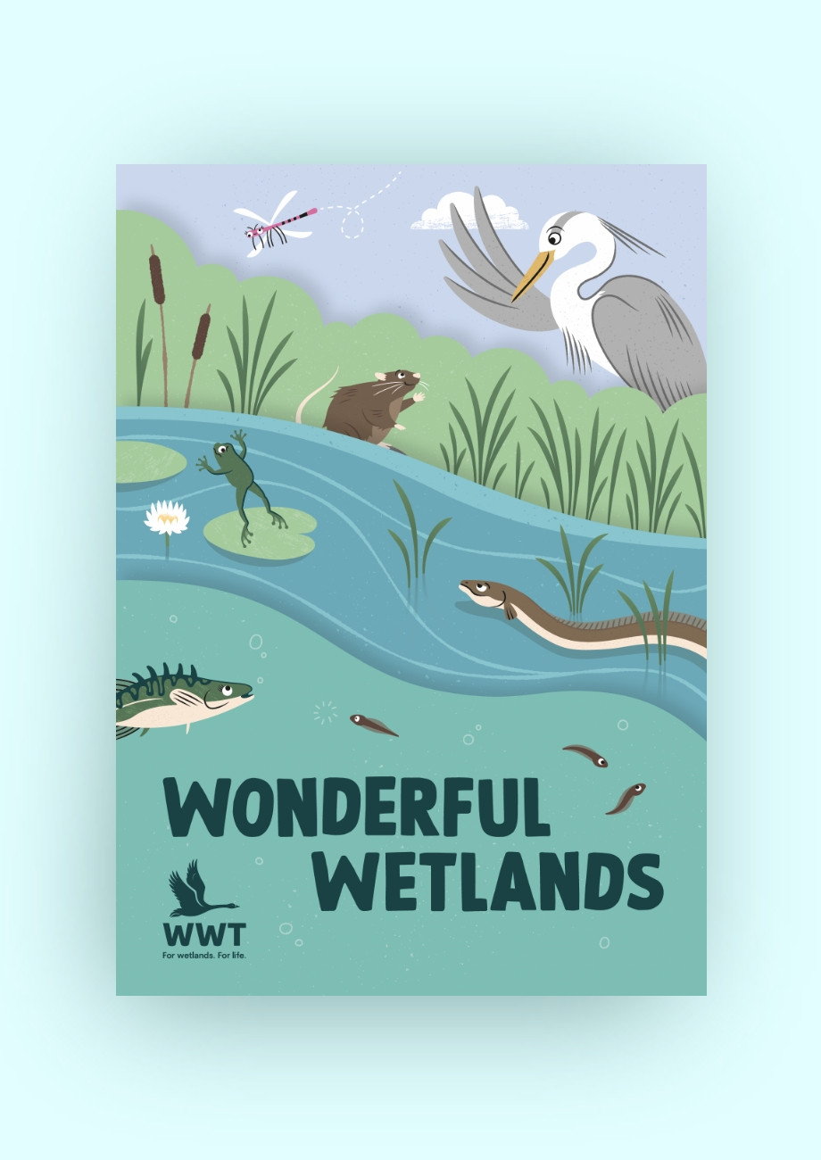 WWT charity underwater wetlands habitat leaflet designed for kids