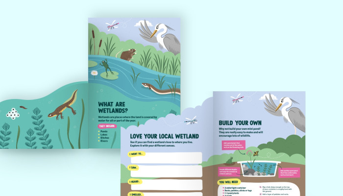 Childrens leaflet charity conservation