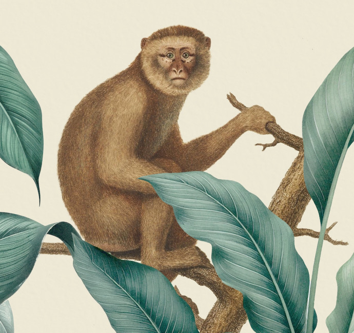 Zuaya London restaurant bar monkey illustration by Root Studio