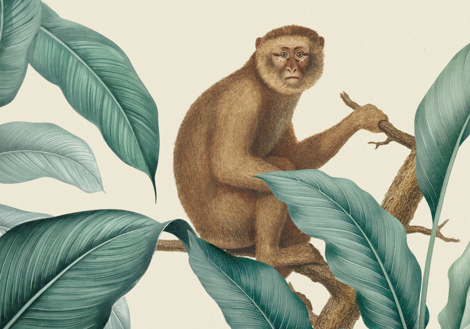 Zuaya London restaurant bar monkey illustration by Root Studio